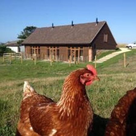 Bike Shed - Beautiful 1-Bed Cottage In Shorwell Exterior foto